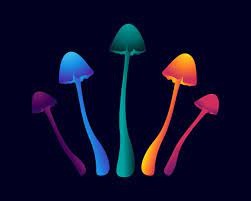 mushroomsannarbor.com